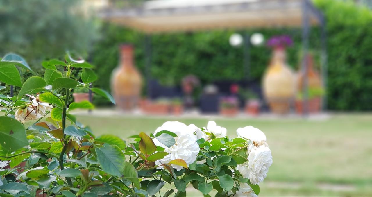 Bed and Breakfast La Dimora Di Assisi Palazzo  Exteriér fotografie